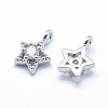 Brass Charms ZIRC-J040-37P-04-NR-2