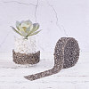 Glitter Resin Hotfix Rhinestone(Hot Melt Adhesive On The Back) OCOR-WH0052-01E-5