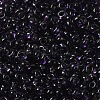 Transparent Colours Glass Seed Beads X1-SEED-P006-02A-12-3