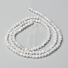 Natural Rainbow Moonstone Beads Strands X-G-O186-D02-01-3