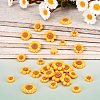 36Pcs 6 Styles Opaque Resin Cabochons RESI-TA0002-96-5
