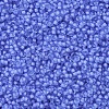 MIYUKI Round Rocailles Beads X-SEED-G007-RR1929-3