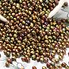 MIYUKI 3.4mm Drop Beads Y-SEED-MY04-DP2035-3