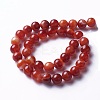 Natural Red Agate Beads Strands G-P434-09C-C-1