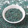 MIYUKI Round Rocailles Beads SEED-X0055-RR4506-1