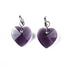 Faceted Transparent Glass Charms GLAA-T024-04-3