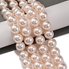Baking Paint Pearlized Glass Pearl Round Bead Strands PEAR-H019-02D-01-2