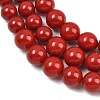 Electroplated Shell Pearl Graduated Beads Strands BSHE-C011-04-01-5