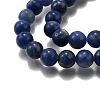 Natural Sodalite Beads Strands G-E110-8mm-3-4