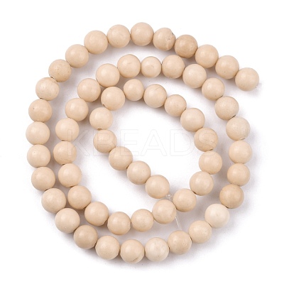 Natural Fossil Beads Strands G-E110-6mm-2-1