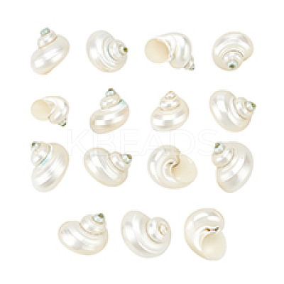 15Pcs Mini Natural Spiral Shell Beads FIND-PH0026-80-1