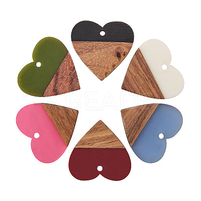 Resin & Wood Pendants RESI-CJ0001-17-1