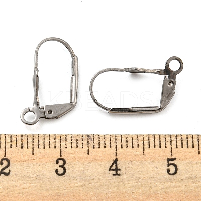 Non-Tarnish 304 Stainless Steel Leverback Earring Findings STAS-P360-02A-P-1