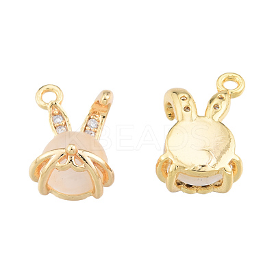 Brass Micro Pave Clear Cubic Zirconia Charms KK-N231-389-1