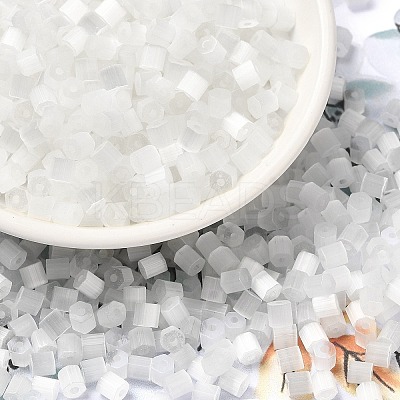 Glass Seed Beads SEED-H002-D-A801-1