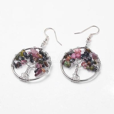 Natural Multicolor Tourmaline Dangle Earrings EJEW-P136-B04-1