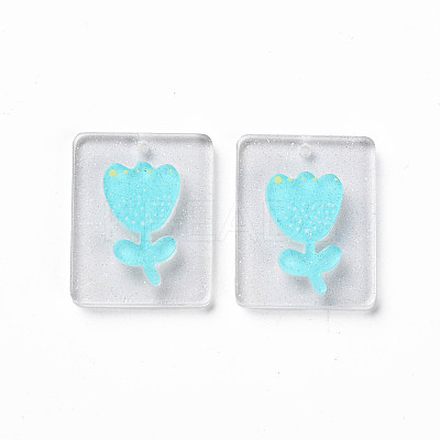 Cellulose Acetate(Resin) Pendants KY-N015-73-1