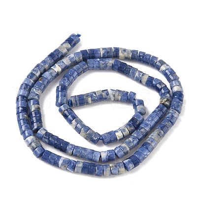 Natural Sodalite Beads Strands G-P468-19-1
