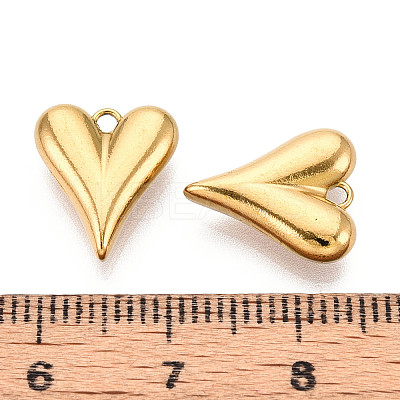 304 Stainless Steel Charms STAS-T065-81G-1