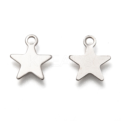 Non-Tarnish 201 Stainless Steel Charms STAS-B001-14B-P-1