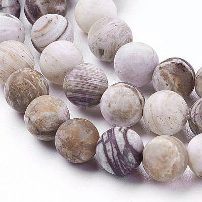 Natural America Petrified Wood Beads Strands G-P430-03-B-1