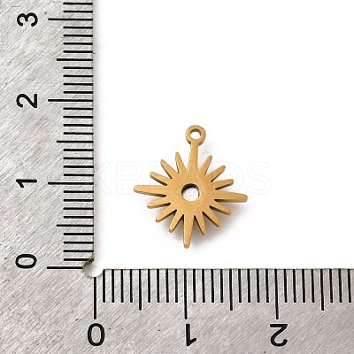 Ion Plating(IP) 316 Surgical Stainless Steel Charms STAS-L265-19G-1