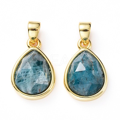 Natural Apatite Charms G-L553-47G-1