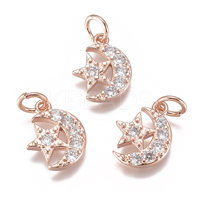 Brass Micro Pave Cubic Zirconia Charms ZIRC-F111-20-1