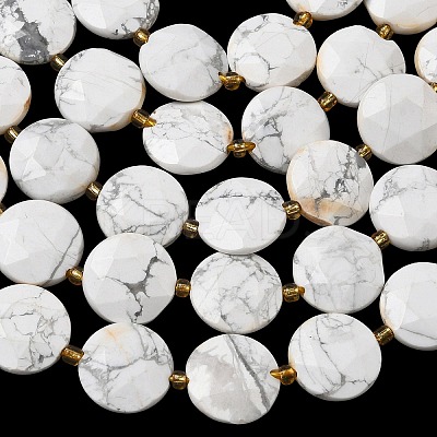Natural Howlite Beads Strands G-A292-A03-01-1