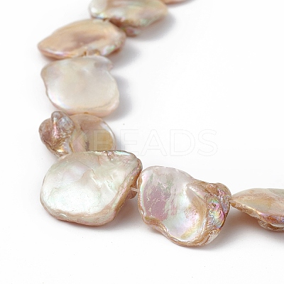 AB Color Plated Natural Freshwater Shell Beads Strands BSHE-G033-03B-1