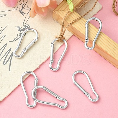 Aluminum Rock Climbing Carabiners IFIN-YW0003-28-1