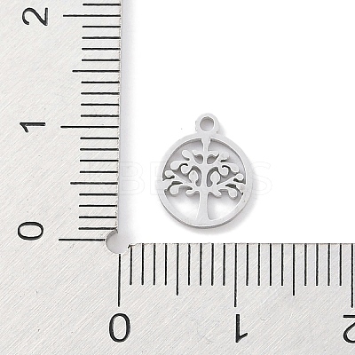 Non-Tarnish 304 Stainless Steel Charms STAS-K286-01D-P-1