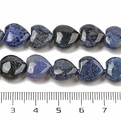 Natural Dumortierite Beads Strands G-H005-C15-02-1