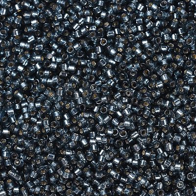 MIYUKI Delica Beads X-SEED-J020-DB2166-1