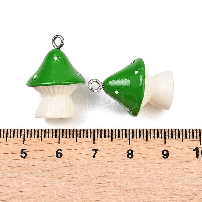 Opaque Resin Pendants RESI-XCP0002-40A-1