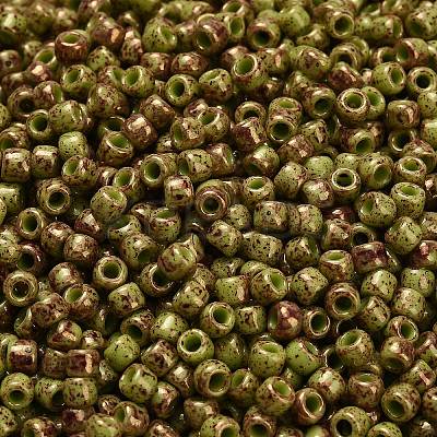 TOHO 6/0 Round Beads X-SEED-TR06-1209-1