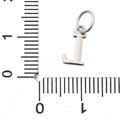925 Sterling Silver Pendants STER-R011-07P-L-1