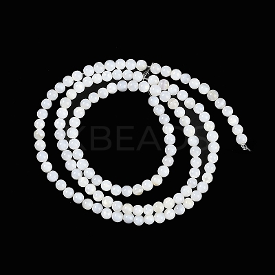Natural Cultured Freshwater Shell Beads Strands X-BSHE-H109-03A-1