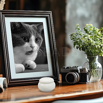1Pc Ceramic Mini Pet Cremation Urn AJEW-GF0012-42-1