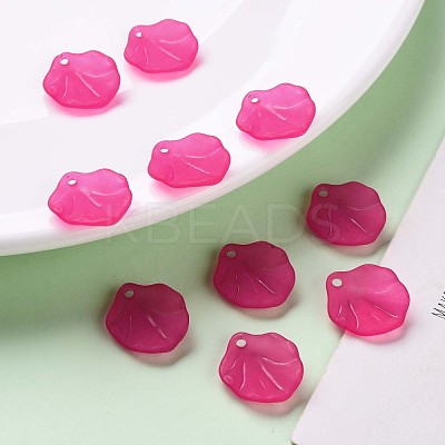 Transparent Frosted Acrylic Pendants MACR-S371-02A-706-1