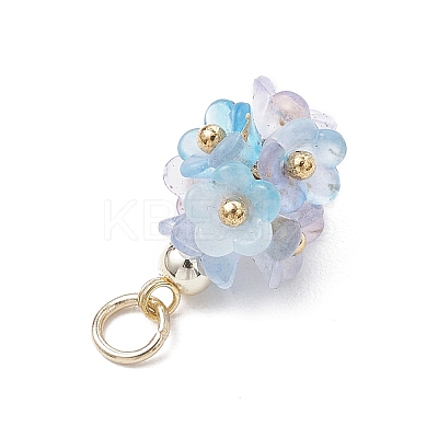 12Pcs Flower Transparent Acrylic Pendants PALLOY-JF03894-1