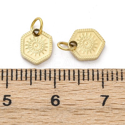 304 Stainless Steel Charms STAS-E550-12G-1