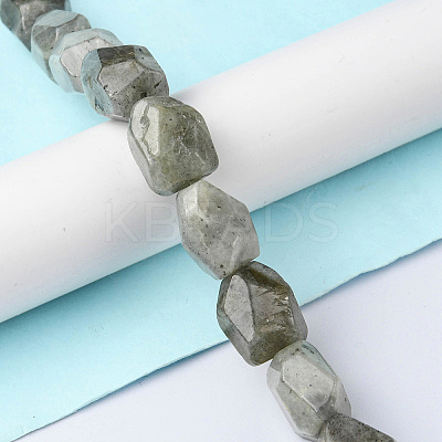 Natural Labradorite Beads Strands G-F743-04D-1