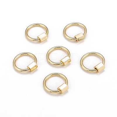 Brass Screw Carabiner Lock Charms KK-T047-06-1
