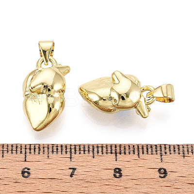 Brass Pendants KK-N265-18G-1