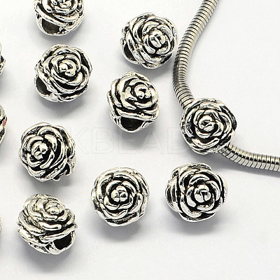 Alloy European Beads LS-PALLOY-S079-093AS-1