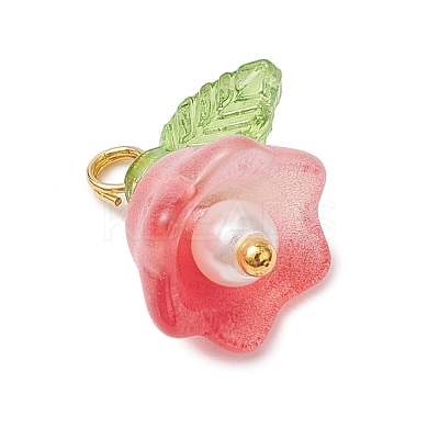 Glass Charms PALLOY-MZ00838-02-1