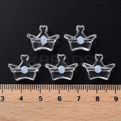 Transparent Acrylic Beads LS-MACR-S373-105-B08-1