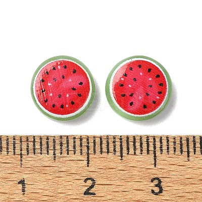 Fruit Series Opaque Resin Cabochons CRES-Q006-01E-1
