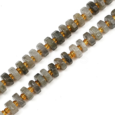 Natural Labradorite Beads Strands G-F796-A05-01-1